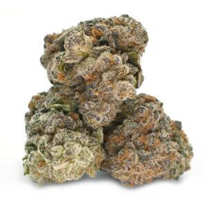 Pavé Kush Strain (Indica Dominant Hybrid – 70% Indica / 30% Sativa) from WeBeHigh