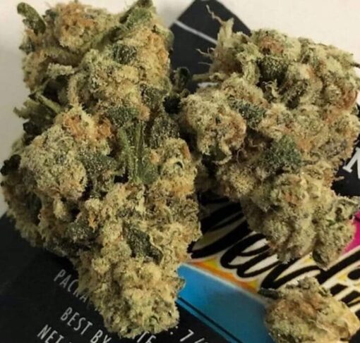 Exotic ZAZA Weed Strain for sale