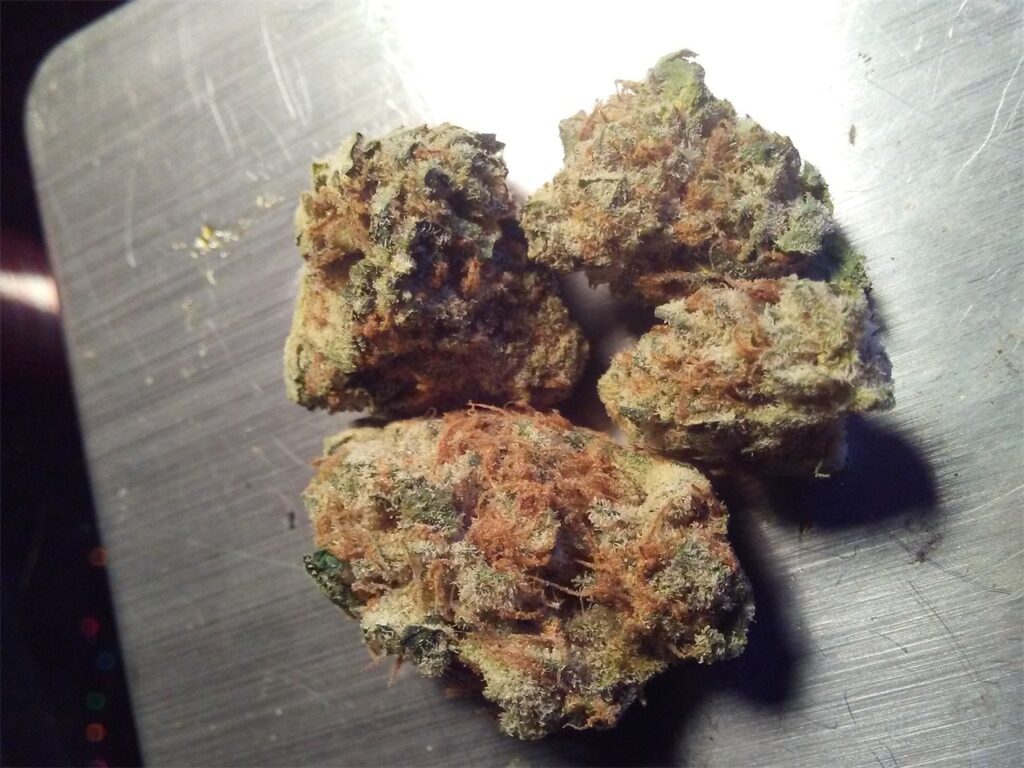 Blue PAVE Weed strain For sale on WeBeHigh Quavo Colab