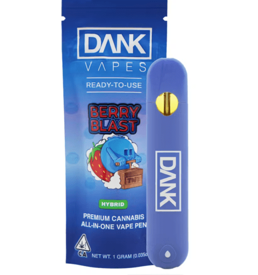 BERRY BLAST - 1G ALL-IN-ONE DISPOSABLE DANK VAPE PEN