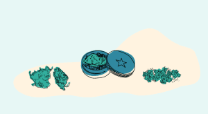 How to roll your weed (Grinding)