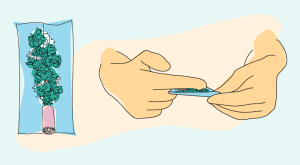 Filling weed on rolling paper for rolling the perfect weed