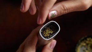 Filling Weed into the chamber of a Dry Herb Weed Vape